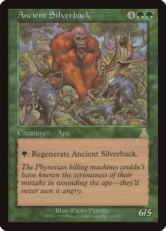 Ancient Silverback image