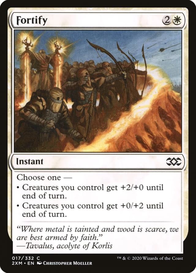 Fortify image