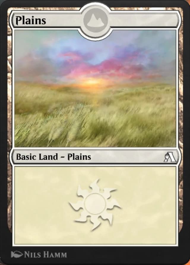 Plains image