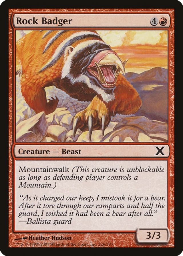 Rock Badger image