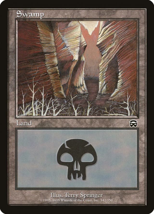 Swamp image