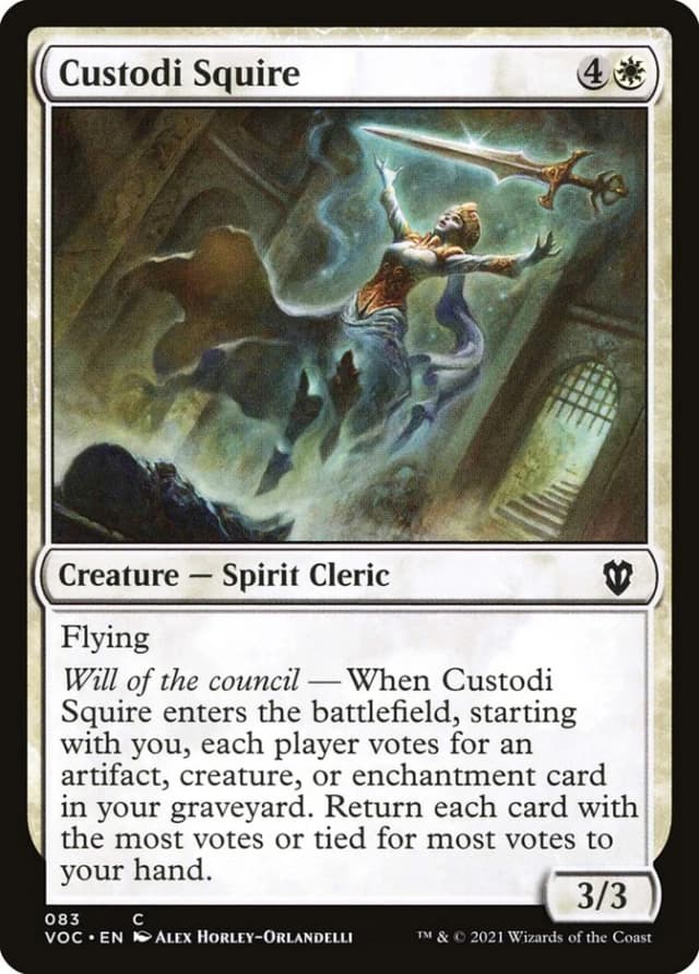 Custodi Squire image