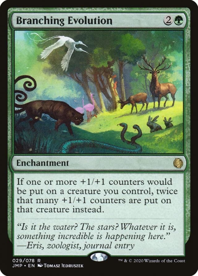 Branching Evolution image