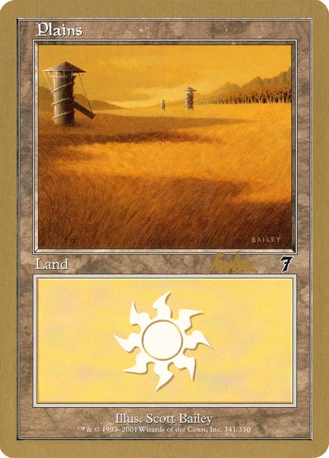Plains image