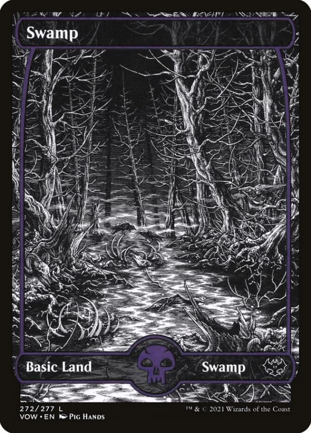 Swamp image