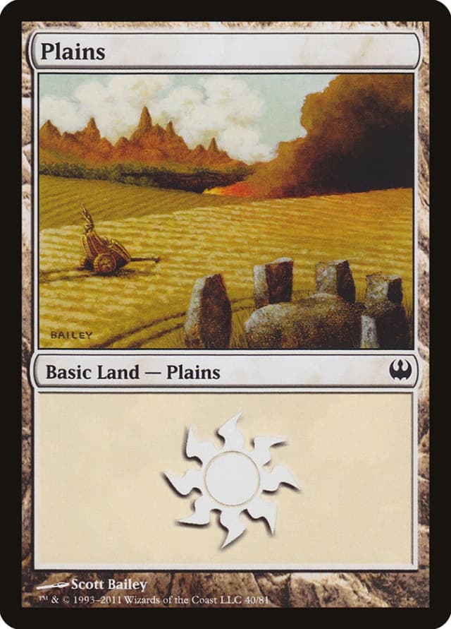 Plains image