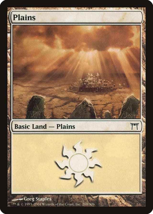 Plains image
