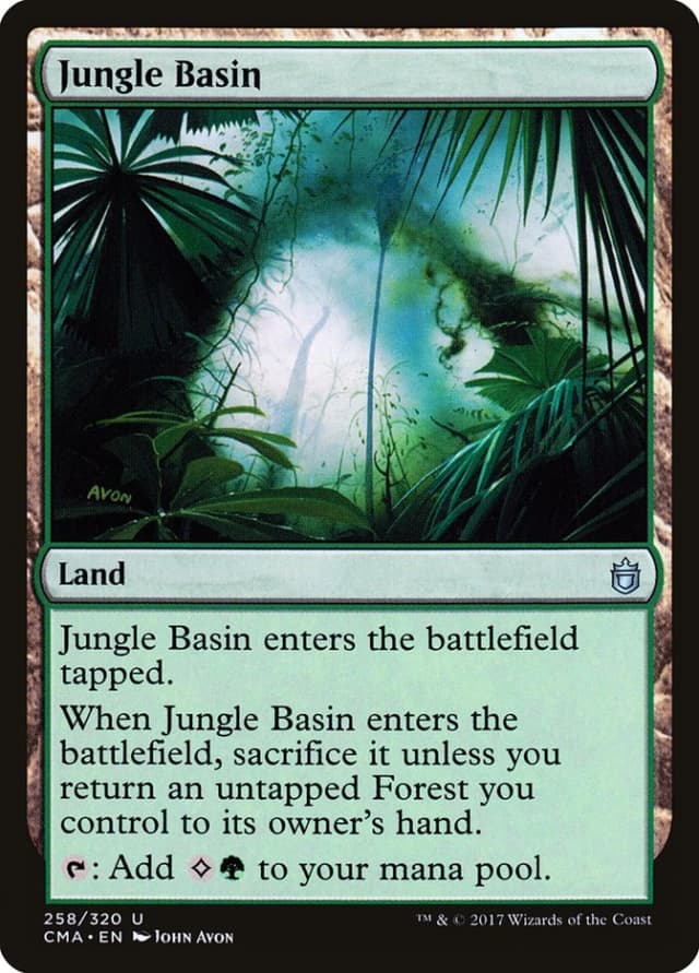 Jungle Basin image