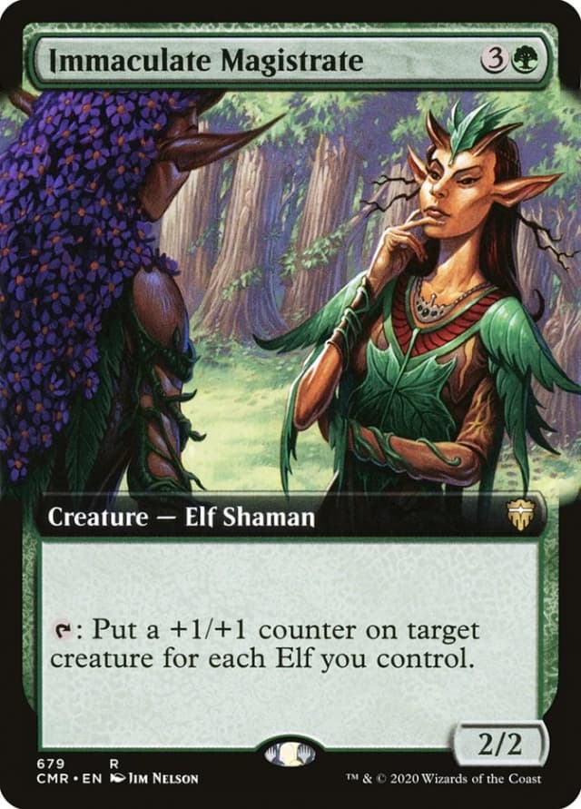 Immaculate Magistrate image