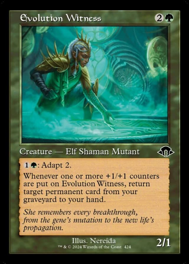 Evolution Witness image