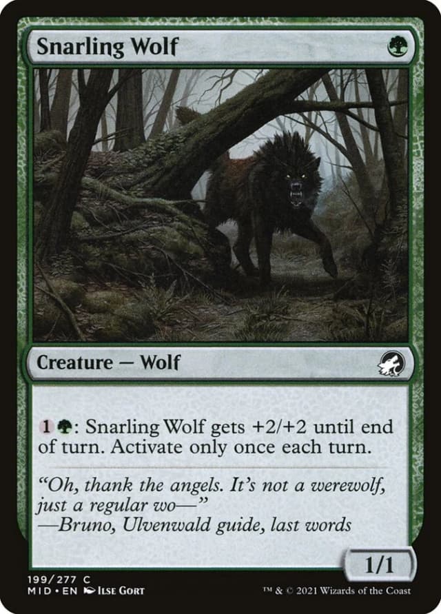 Snarling Wolf image