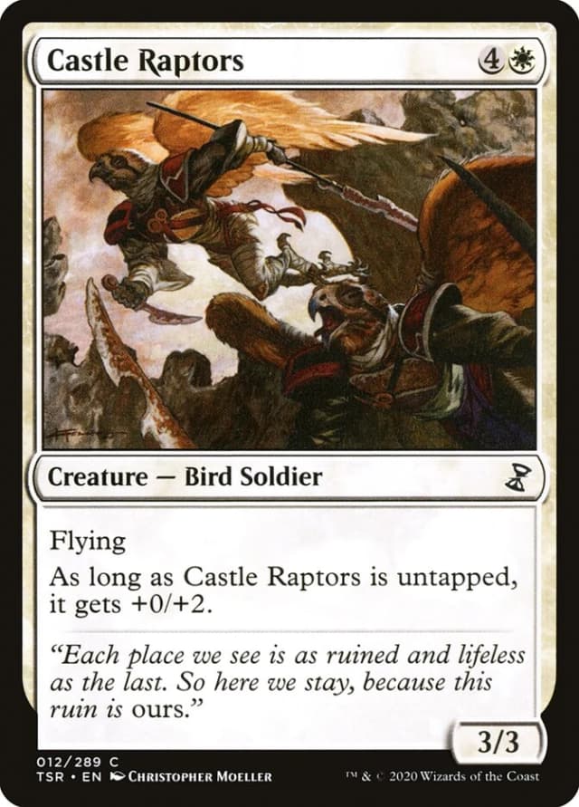 Castle Raptors image