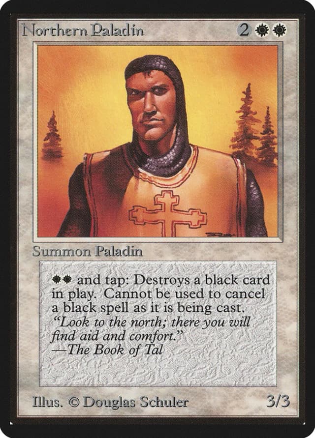 Northern Paladin image