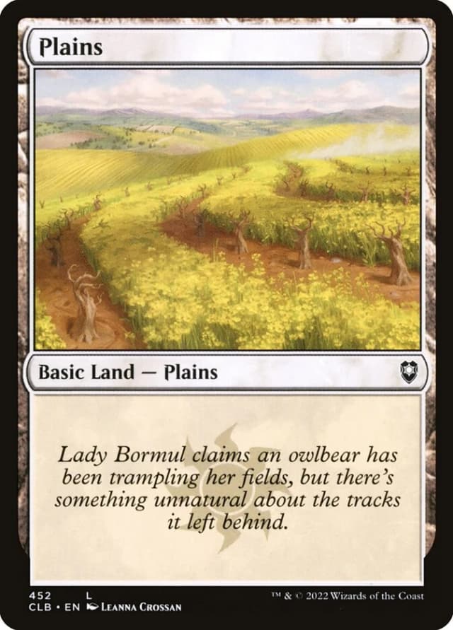 Plains image
