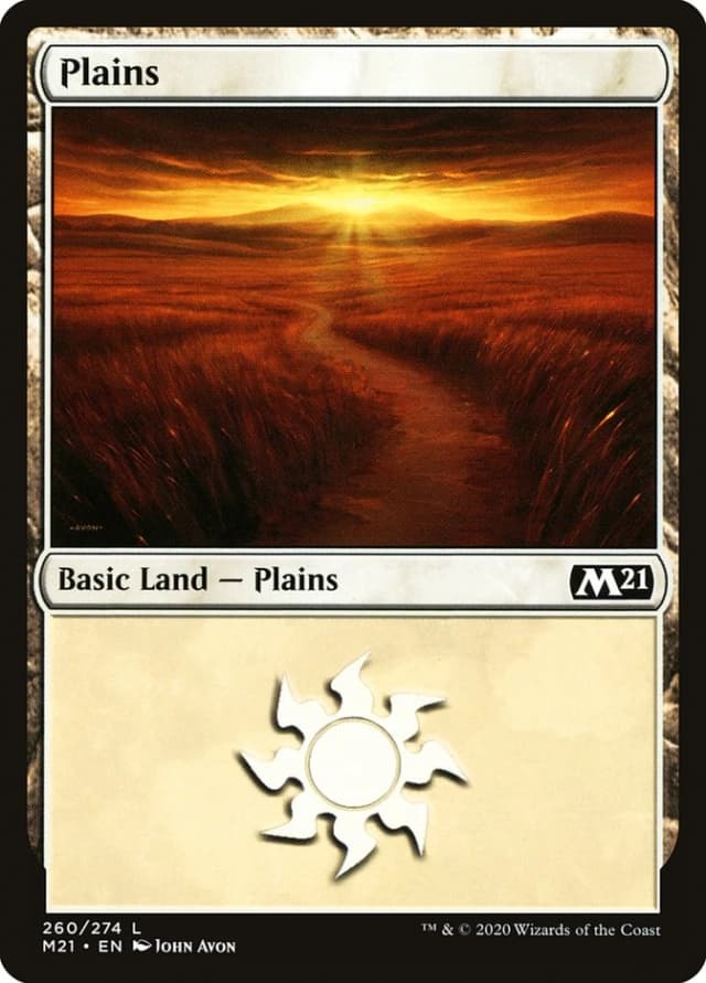 Plains image
