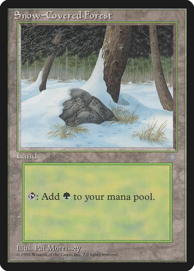 Snow-Covered Forest image