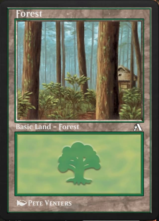 Forest image
