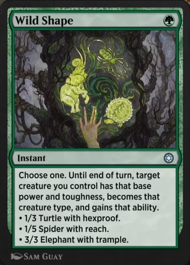Wild Shape image