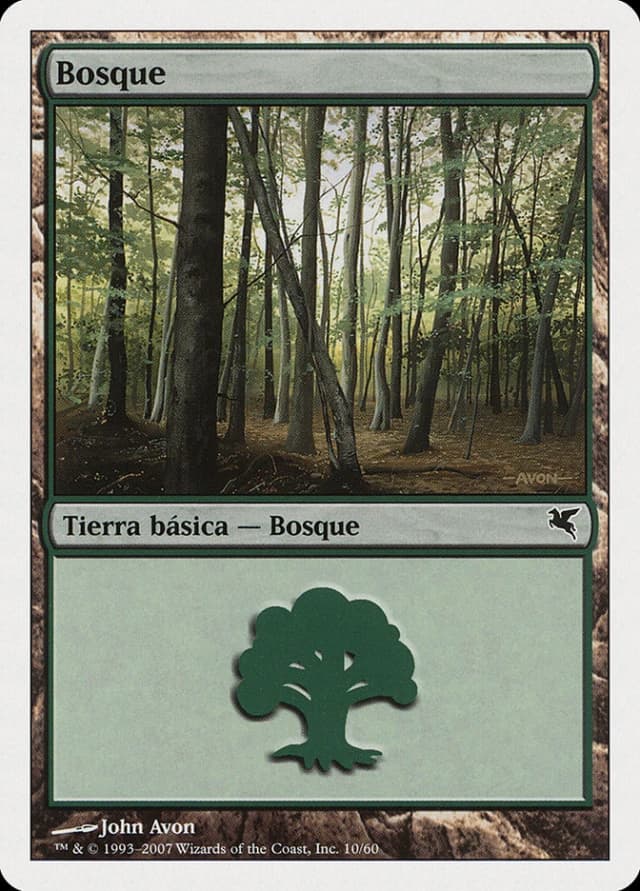 Forest image
