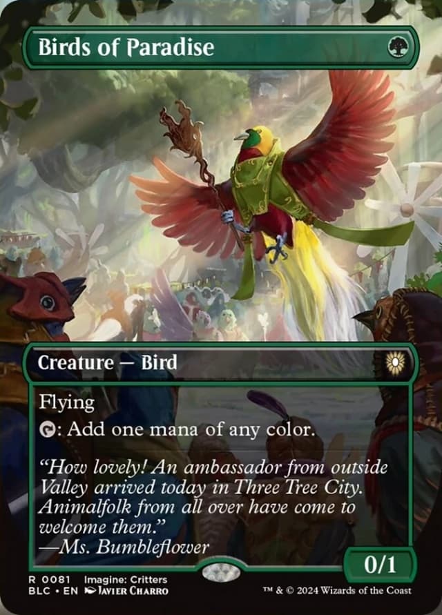 Birds of Paradise image