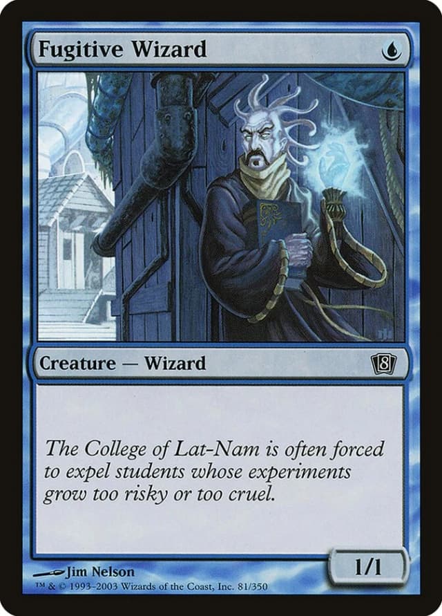 Fugitive Wizard image