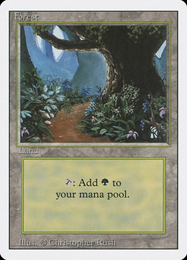 Forest image