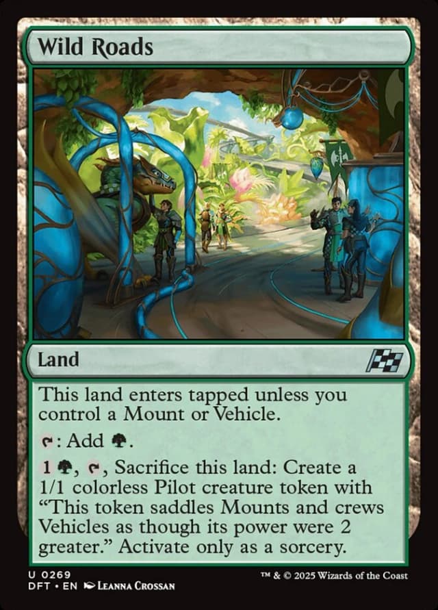 Wild Roads image