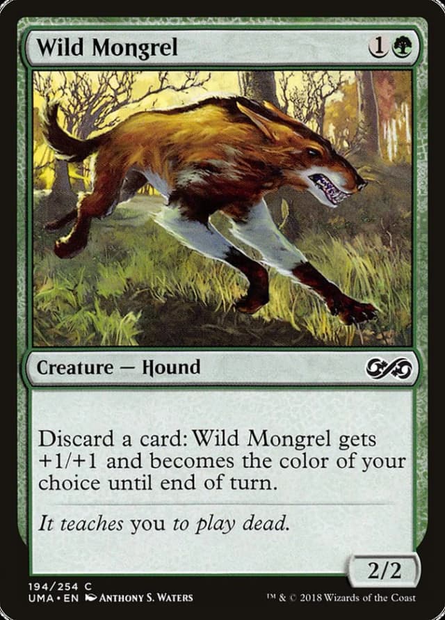Wild Mongrel image