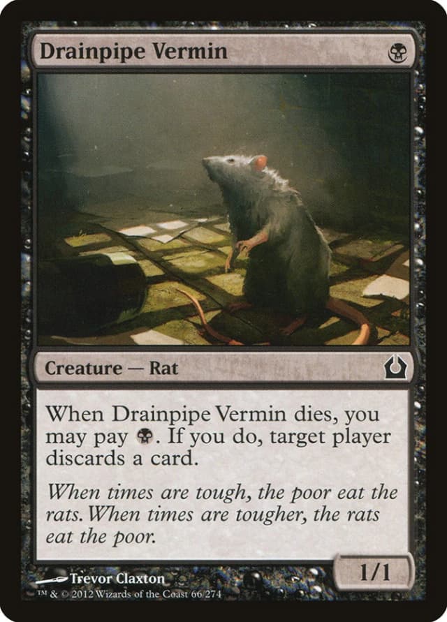 Drainpipe Vermin image