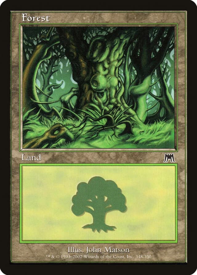 Forest image