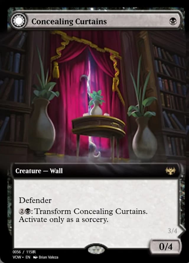 Concealing Curtains // Revealing Eye image