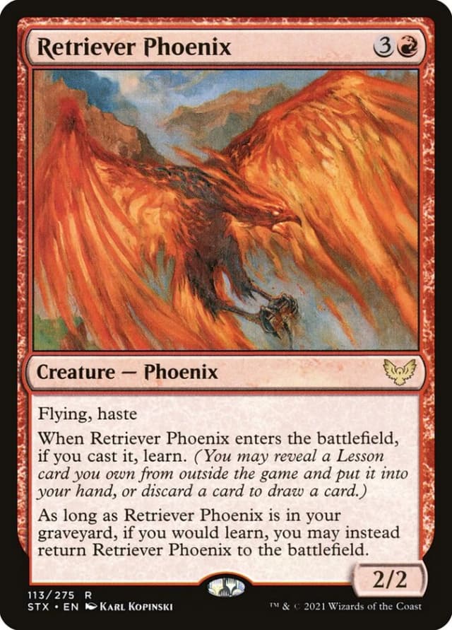 Retriever Phoenix image