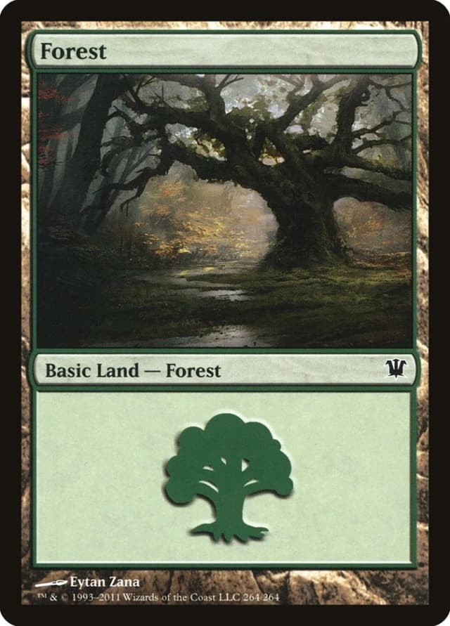 Forest image