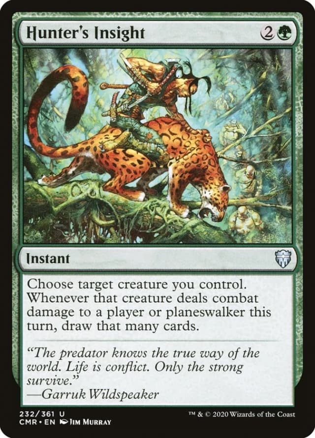 Hunter's Insight image
