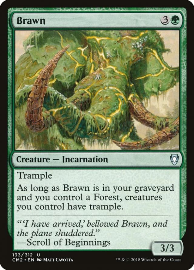 Brawn image