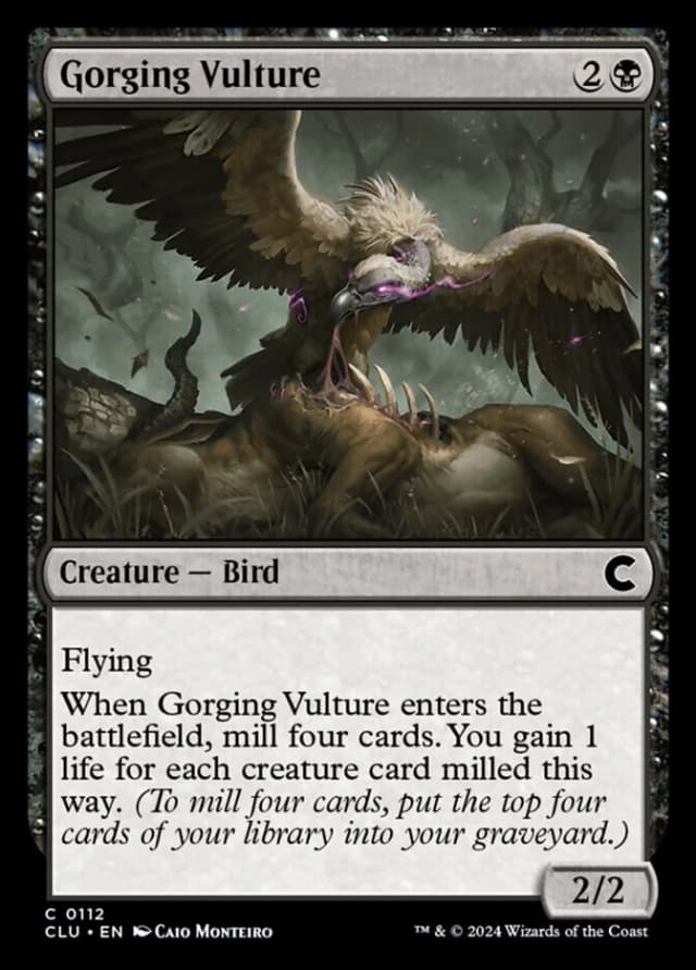 Gorging Vulture image
