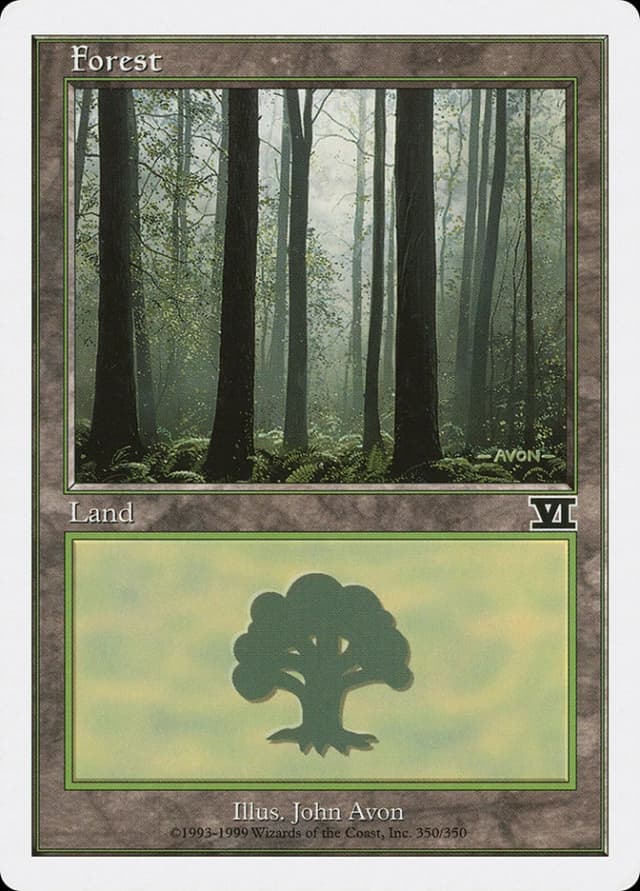 Forest image