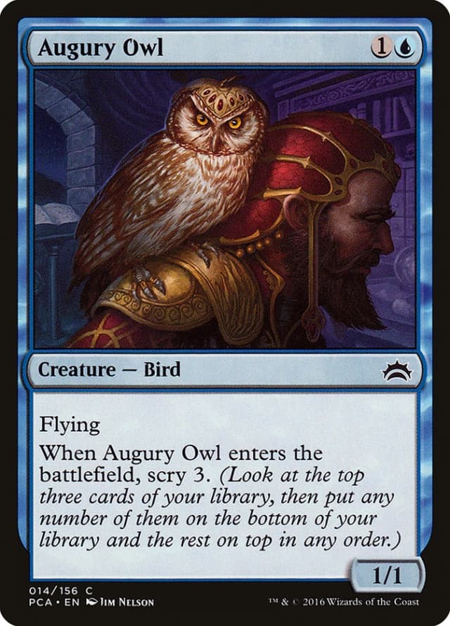 Augury Owl image