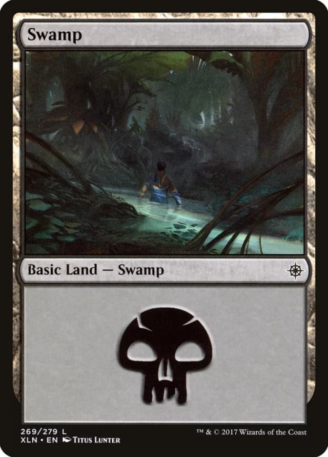 Swamp image