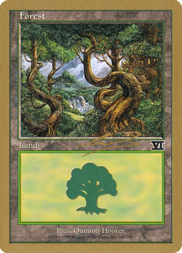 Forest image