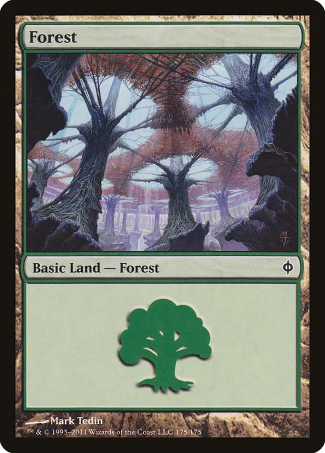 Forest image