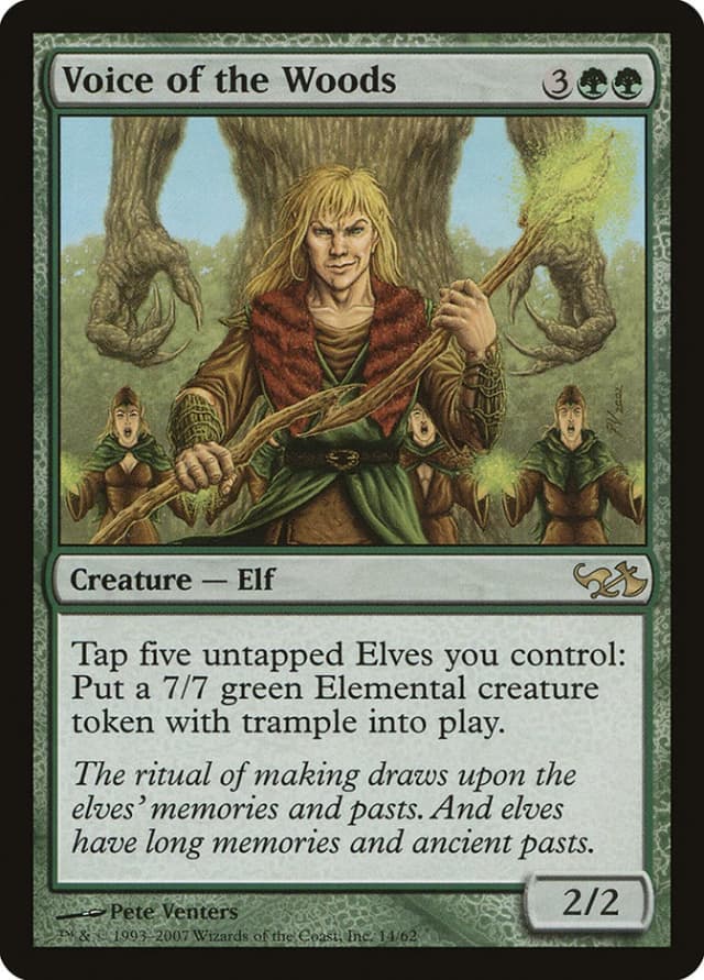 Voice of the Woods image