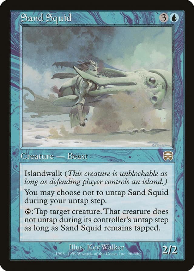 Sand Squid image