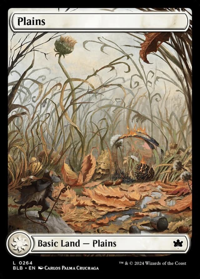 Plains image