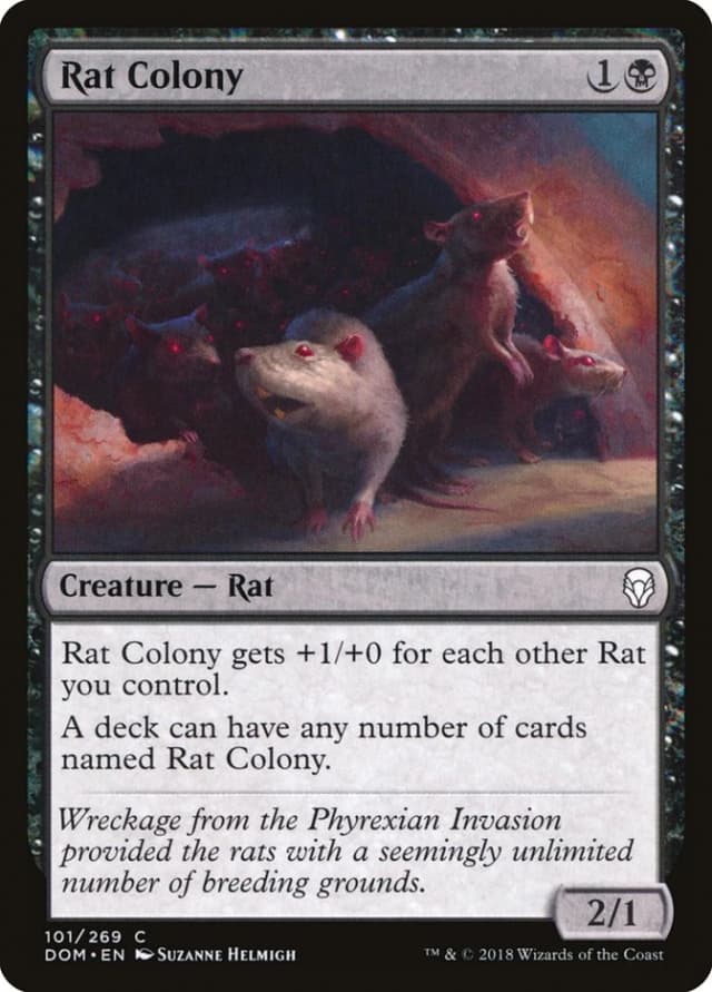 Rat Colony image