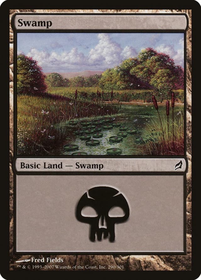Swamp image