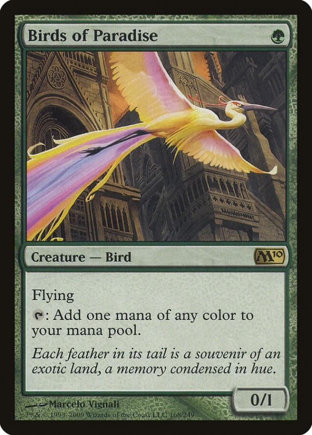 Birds of Paradise image