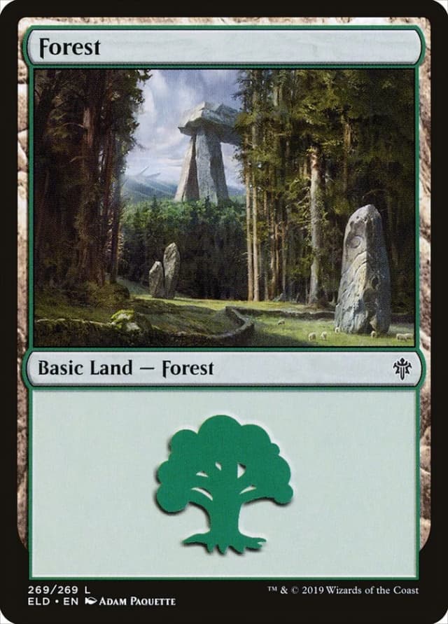 Forest image