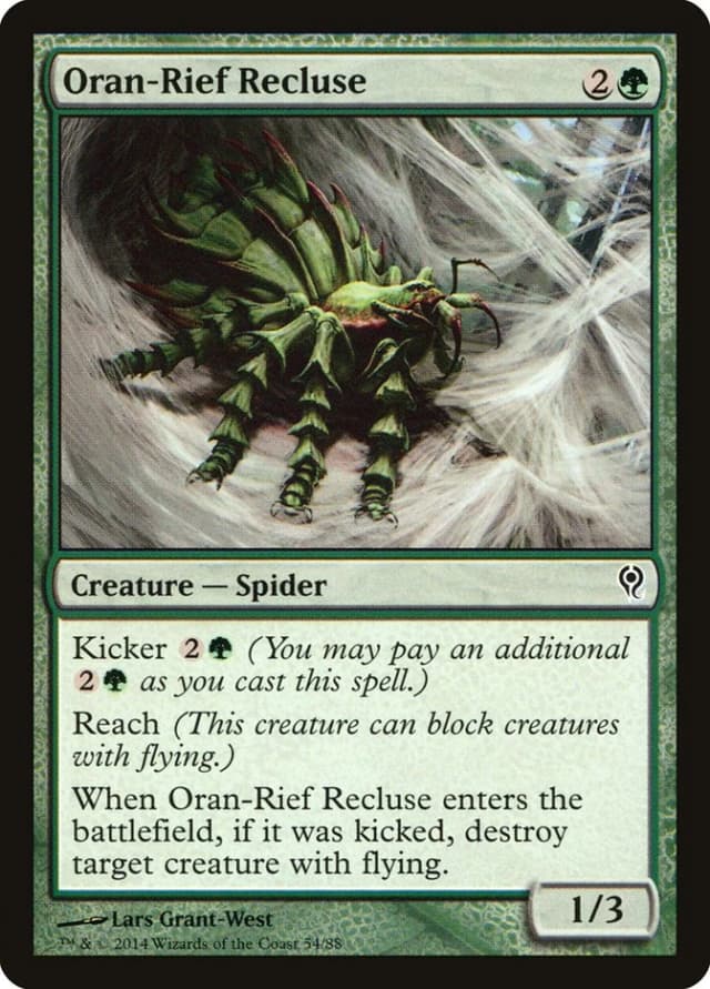 Oran-Rief Recluse image
