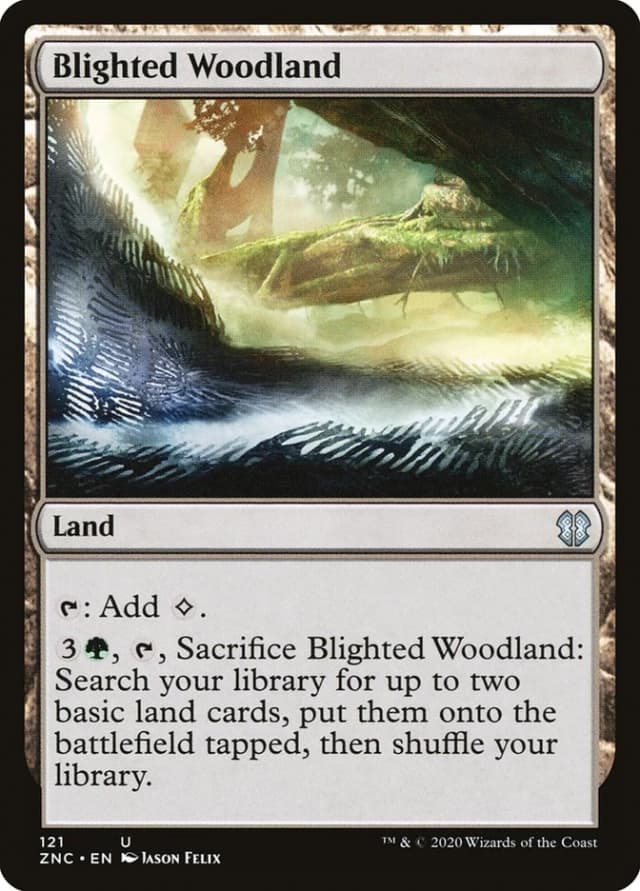 Blighted Woodland image